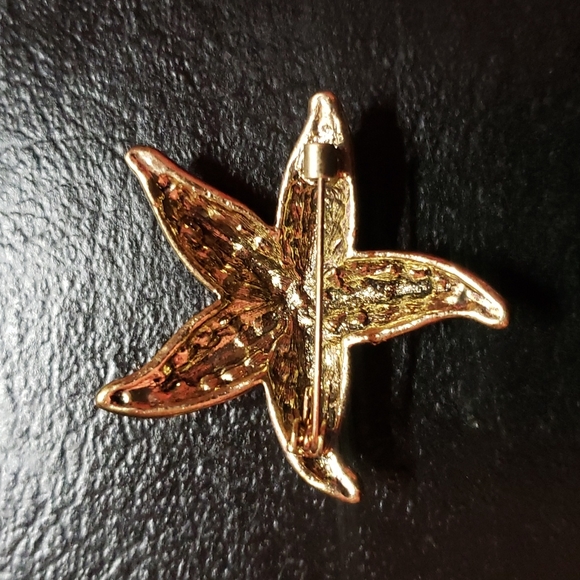 Starfish Brooch - Picture 5 of 5